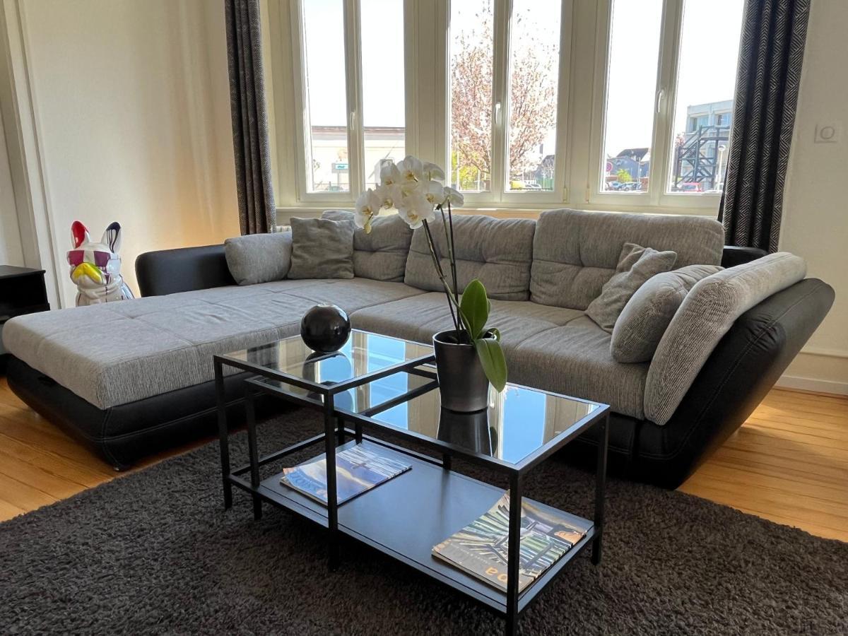Appartement De Prestige Au Centre Climatise Avec Jardin Prive Colmar Bagian luar foto