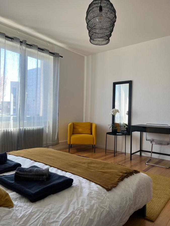 Appartement De Prestige Au Centre Climatise Avec Jardin Prive Colmar Bagian luar foto
