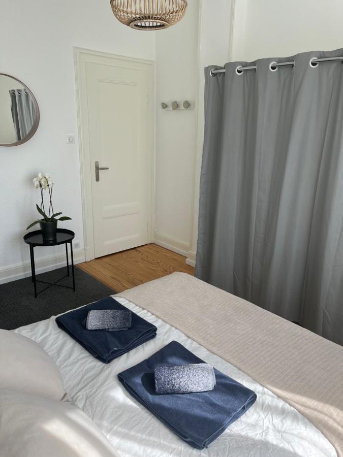 Appartement De Prestige Au Centre Climatise Avec Jardin Prive Colmar Bagian luar foto