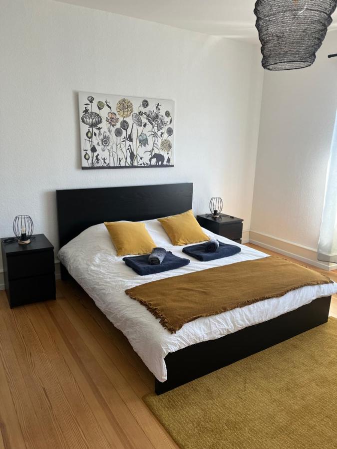 Appartement De Prestige Au Centre Climatise Avec Jardin Prive Colmar Bagian luar foto