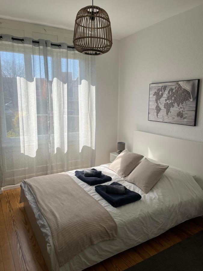 Appartement De Prestige Au Centre Climatise Avec Jardin Prive Colmar Bagian luar foto